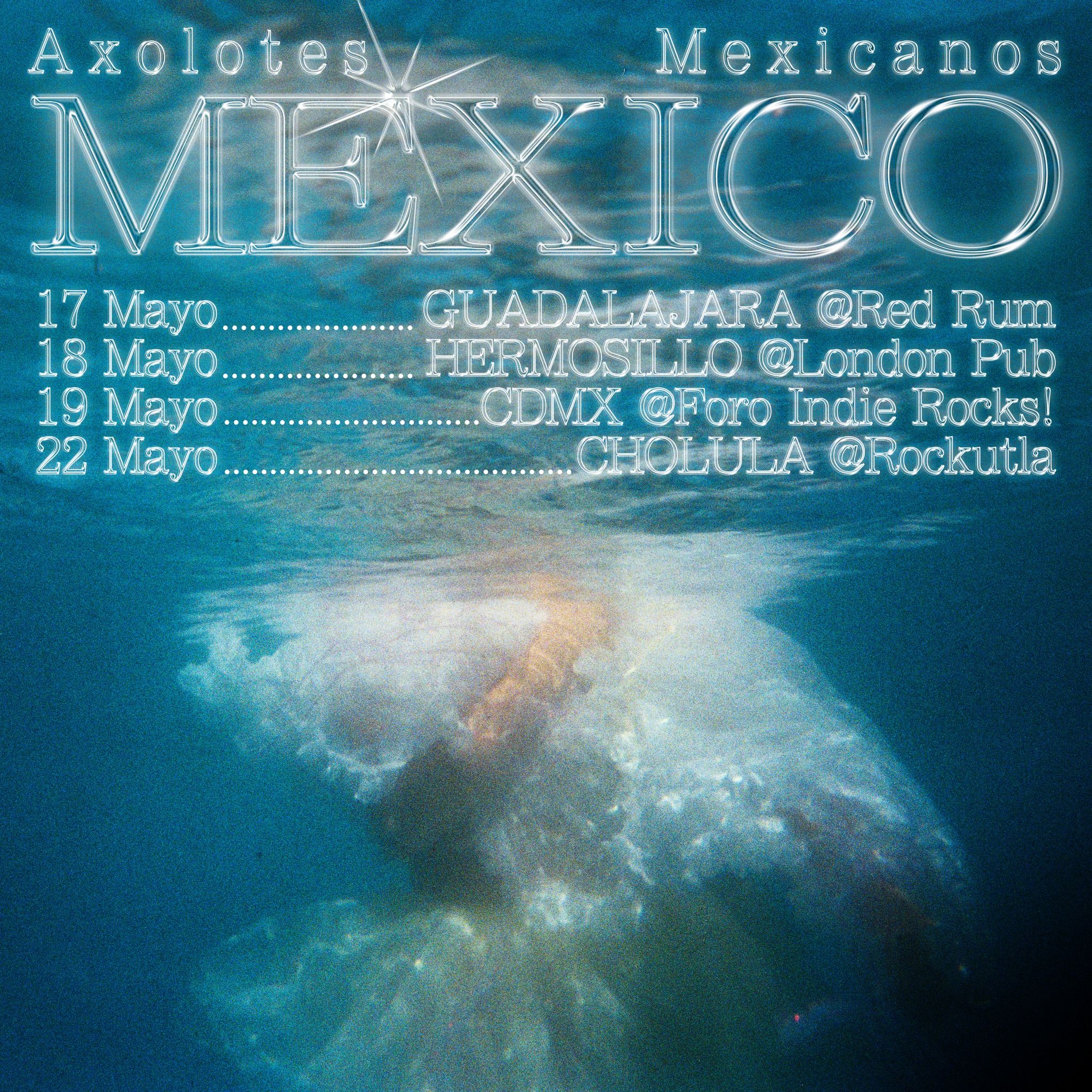 axolotes mexicanos